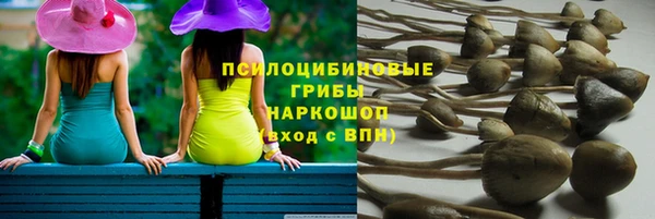 СК Арсеньев