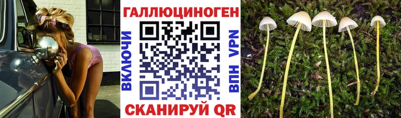 Галлюциногенные грибы GOLDEN TEACHER  Севск 
